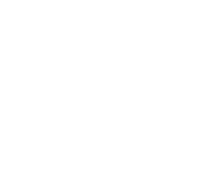The Big Story